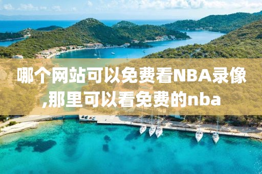 哪个网站可以免费看NBA录像,那里可以看免费的nba