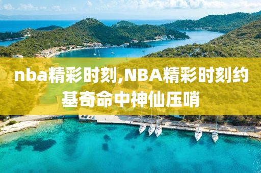 nba精彩时刻,NBA精彩时刻约基奇命中神仙压哨