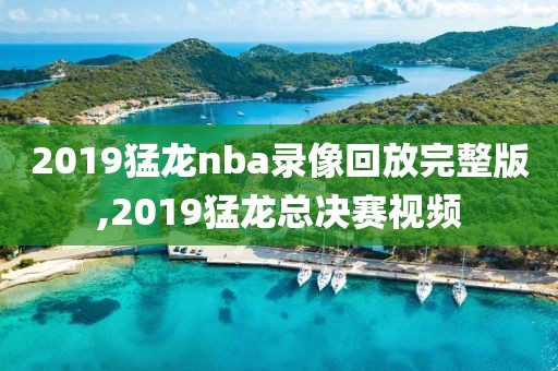 2019猛龙nba录像回放完整版,2019猛龙总决赛视频