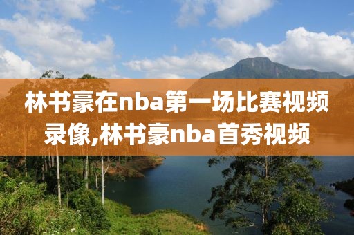 林书豪在nba第一场比赛视频录像,林书豪nba首秀视频