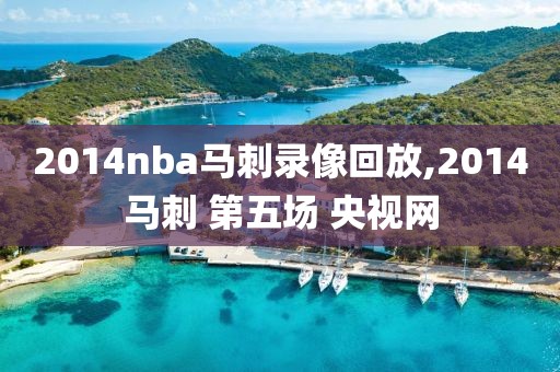 2014nba马刺录像回放,2014马刺 第五场 央视网