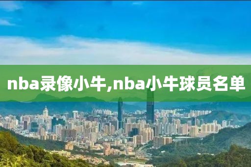 nba录像小牛,nba小牛球员名单