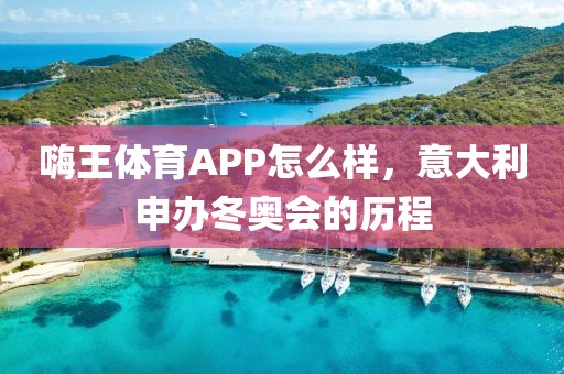 嗨王体育APP怎么样，意大利申办冬奥会的历程