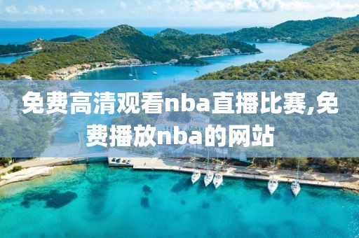 免费高清观看nba直播比赛,免费播放nba的网站