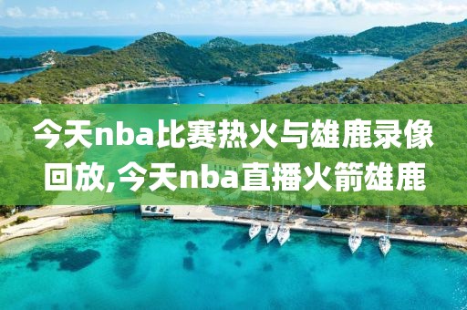 今天nba比赛热火与雄鹿录像回放,今天nba直播火箭雄鹿