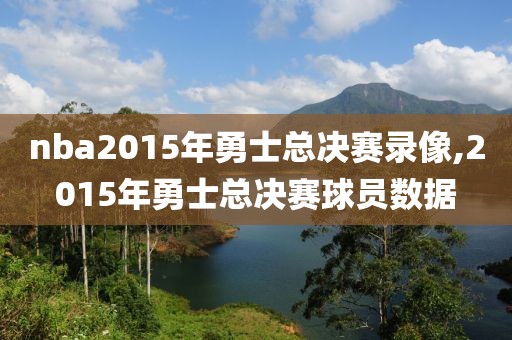 nba2015年勇士总决赛录像,2015年勇士总决赛球员数据