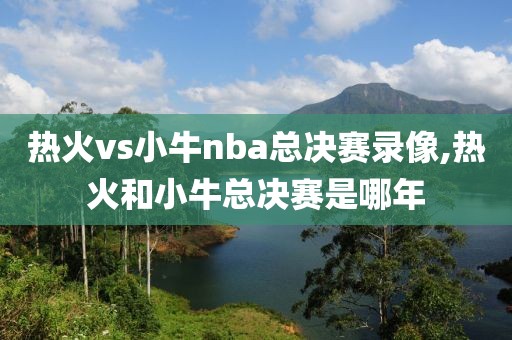 热火vs小牛nba总决赛录像,热火和小牛总决赛是哪年