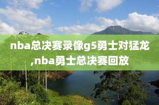 nba总决赛录像g5勇士对猛龙,nba勇士总决赛回放