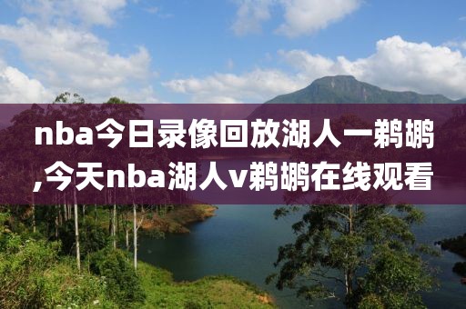 nba今日录像回放湖人一鹈鹕,今天nba湖人v鹈鹕在线观看