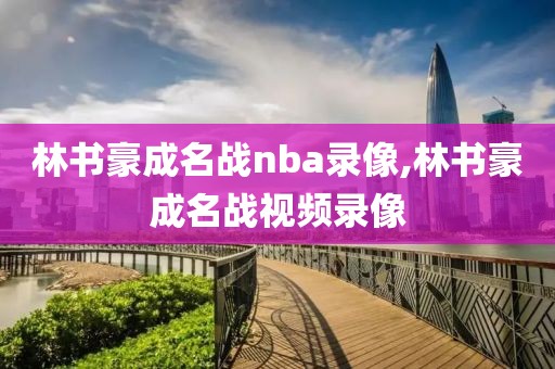 林书豪成名战nba录像,林书豪成名战视频录像