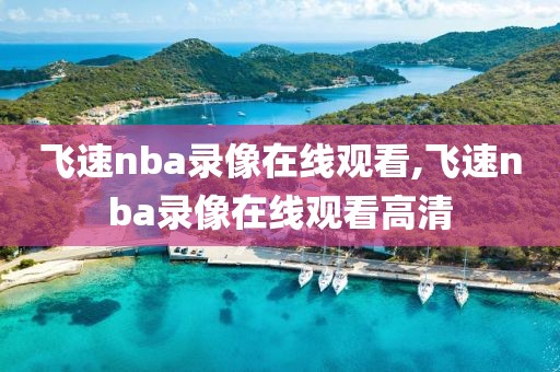 飞速nba录像在线观看,飞速nba录像在线观看高清