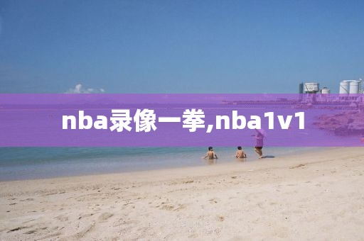 nba录像一拳,nba1v1