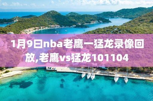 1月9曰nba老鹰一猛龙录像回放,老鹰vs猛龙101104