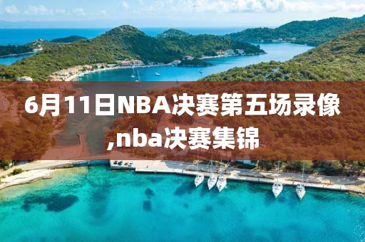 6月11日NBA决赛第五场录像,nba决赛集锦