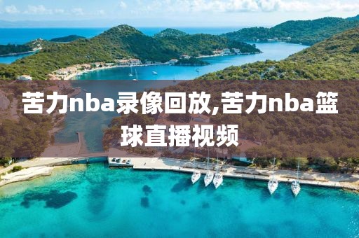 苦力nba录像回放,苦力nba篮球直播视频