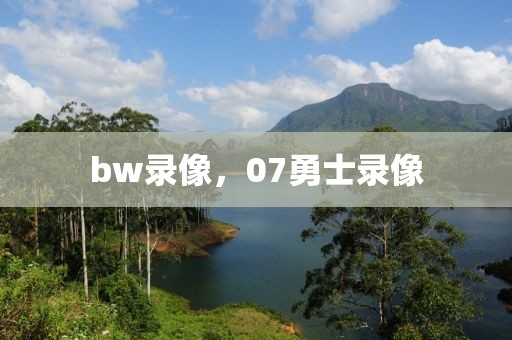 bw录像，07勇士录像