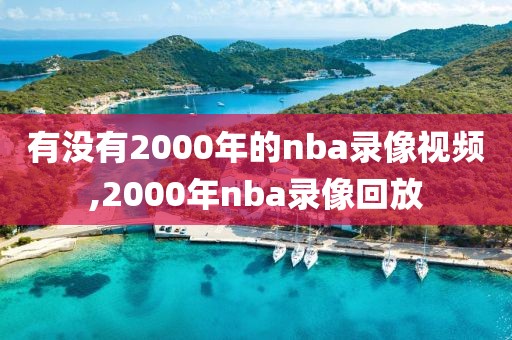 有没有2000年的nba录像视频,2000年nba录像回放