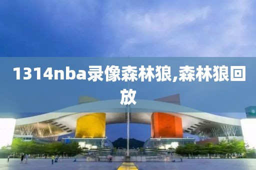 1314nba录像森林狼,森林狼回放