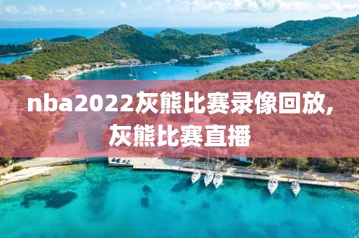 nba2022灰熊比赛录像回放,灰熊比赛直播