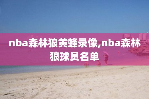 nba森林狼黄蜂录像,nba森林狼球员名单