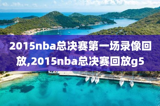 2015nba总决赛第一场录像回放,2015nba总决赛回放g5