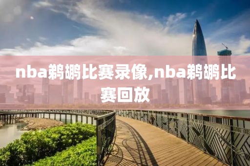 nba鹈鹕比赛录像,nba鹈鹕比赛回放