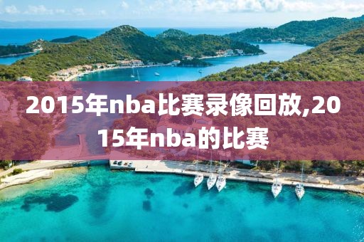 2015年nba比赛录像回放,2015年nba的比赛