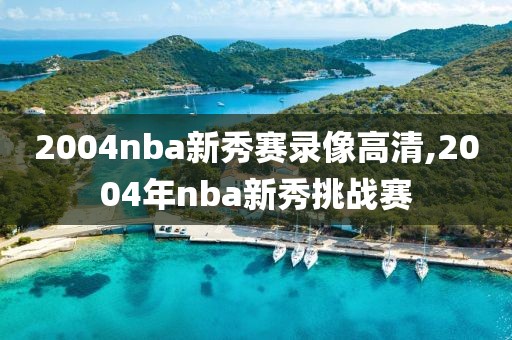 2004nba新秀赛录像高清,2004年nba新秀挑战赛