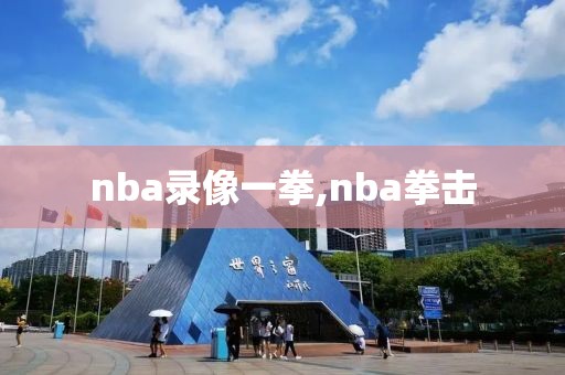 nba录像一拳,nba拳击