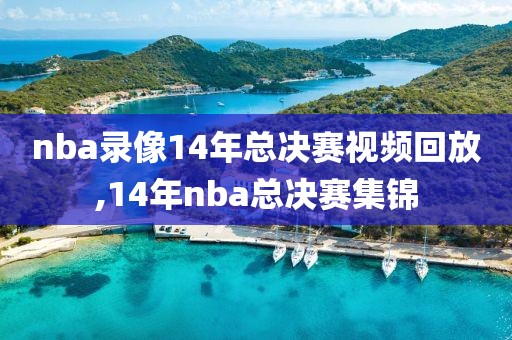nba录像14年总决赛视频回放,14年nba总决赛集锦