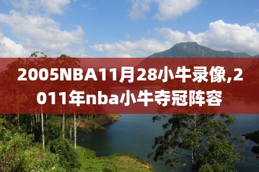 2005NBA11月28小牛录像,2011年nba小牛夺冠阵容