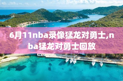 6月11nba录像猛龙对勇士,nba猛龙对勇士回放