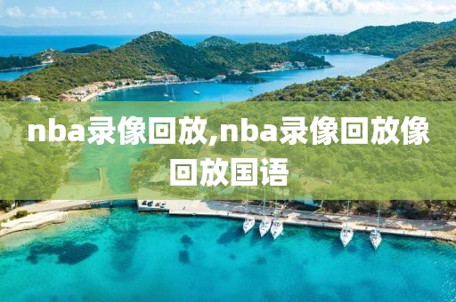 nba录像回放,nba录像回放像回放国语