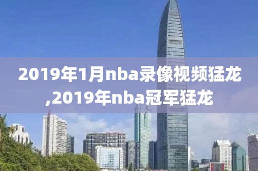 2019年1月nba录像视频猛龙,2019年nba冠军猛龙