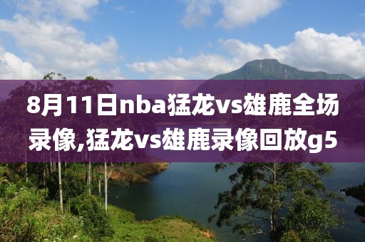 8月11日nba猛龙vs雄鹿全场录像,猛龙vs雄鹿录像回放g5