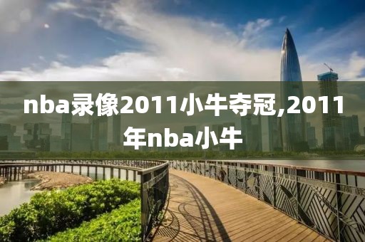 nba录像2011小牛夺冠,2011年nba小牛