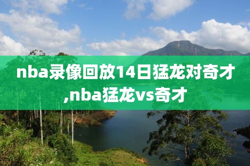 nba录像回放14日猛龙对奇才,nba猛龙vs奇才