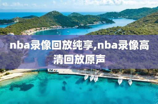 nba录像回放纯享,nba录像高清回放原声