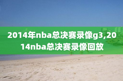 2014年nba总决赛录像g3,2014nba总决赛录像回放