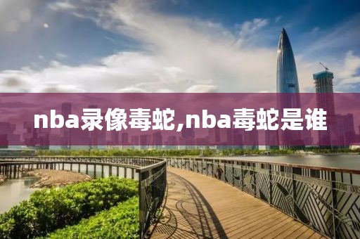 nba录像毒蛇,nba毒蛇是谁