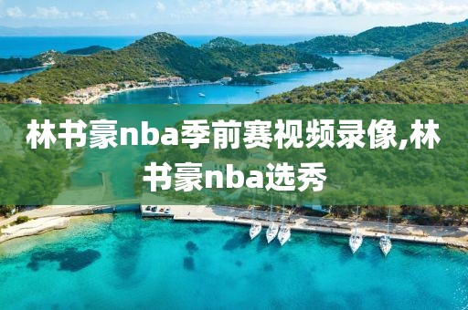 林书豪nba季前赛视频录像,林书豪nba选秀