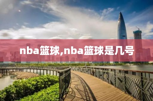 nba篮球,nba篮球是几号