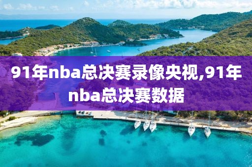 91年nba总决赛录像央视,91年nba总决赛数据