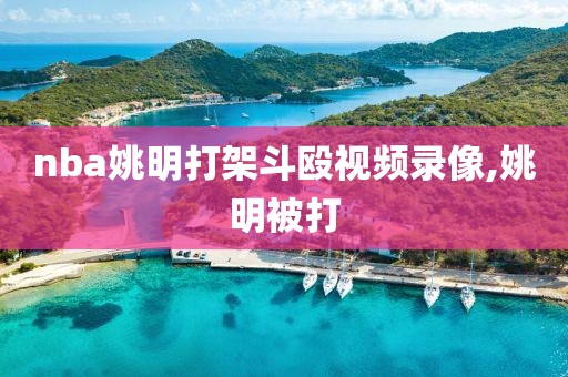 nba姚明打架斗殴视频录像,姚明被打