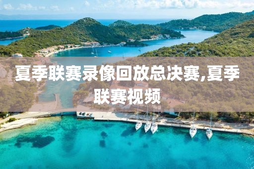 夏季联赛录像回放总决赛,夏季联赛视频