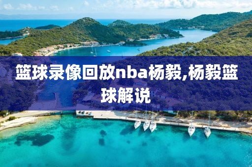 篮球录像回放nba杨毅,杨毅篮球解说