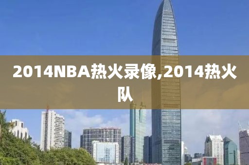 2014NBA热火录像,2014热火队