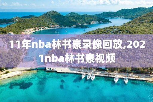 11年nba林书豪录像回放,2021nba林书豪视频