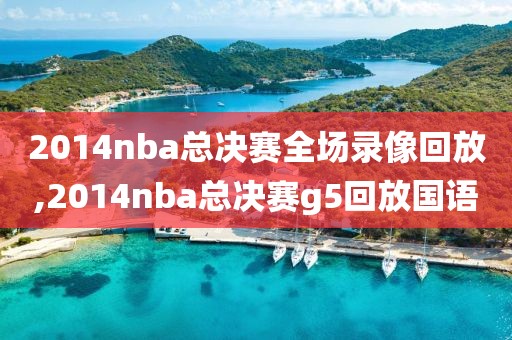 2014nba总决赛全场录像回放,2014nba总决赛g5回放国语