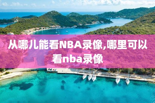 从哪儿能看NBA录像,哪里可以看nba录像